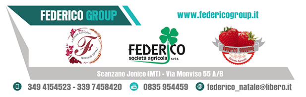 Federico Group