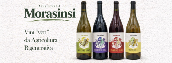 Morasinsi
