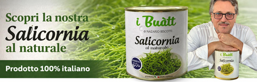 Salicornia